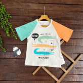 قیمت و خرید تیشرت تک بچگانه