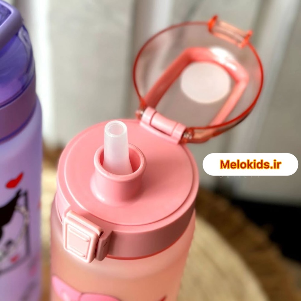 قیمت و خرید قمقمه کرومی