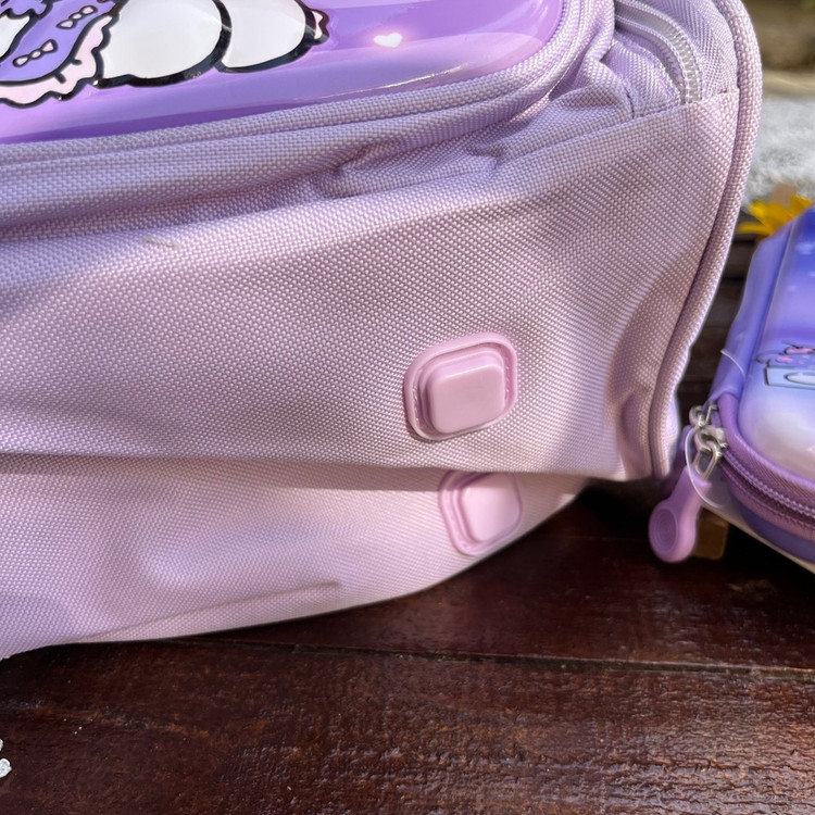 قیمت و خرید اینترنتی کوله پشتی صندوقی وارداتی