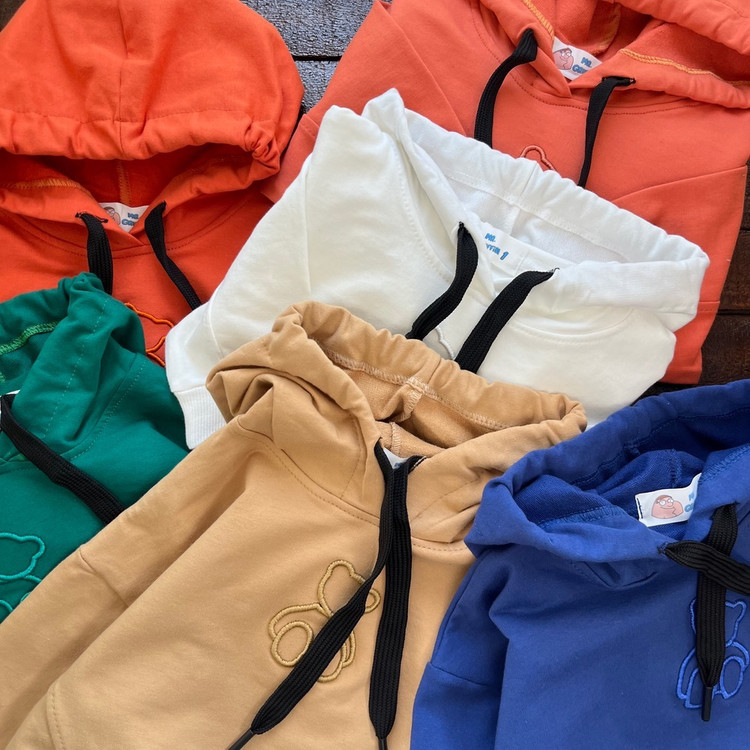 قیمت و خرید اینترنتی هودی تدی