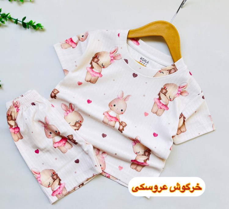 قیمت و خرید ست ریلی ضد لک کوالا